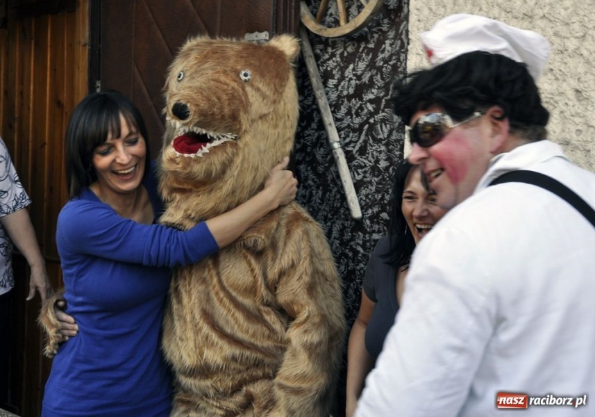 Zdjęcie w galerii na portalu naszraciborz.pl: Zatańcz z berem. Na szczęście wiadomości z regionu