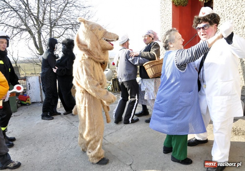 Zdjęcie w galerii na portalu naszraciborz.pl: Zatańcz z berem. Na szczęście wiadomości z regionu