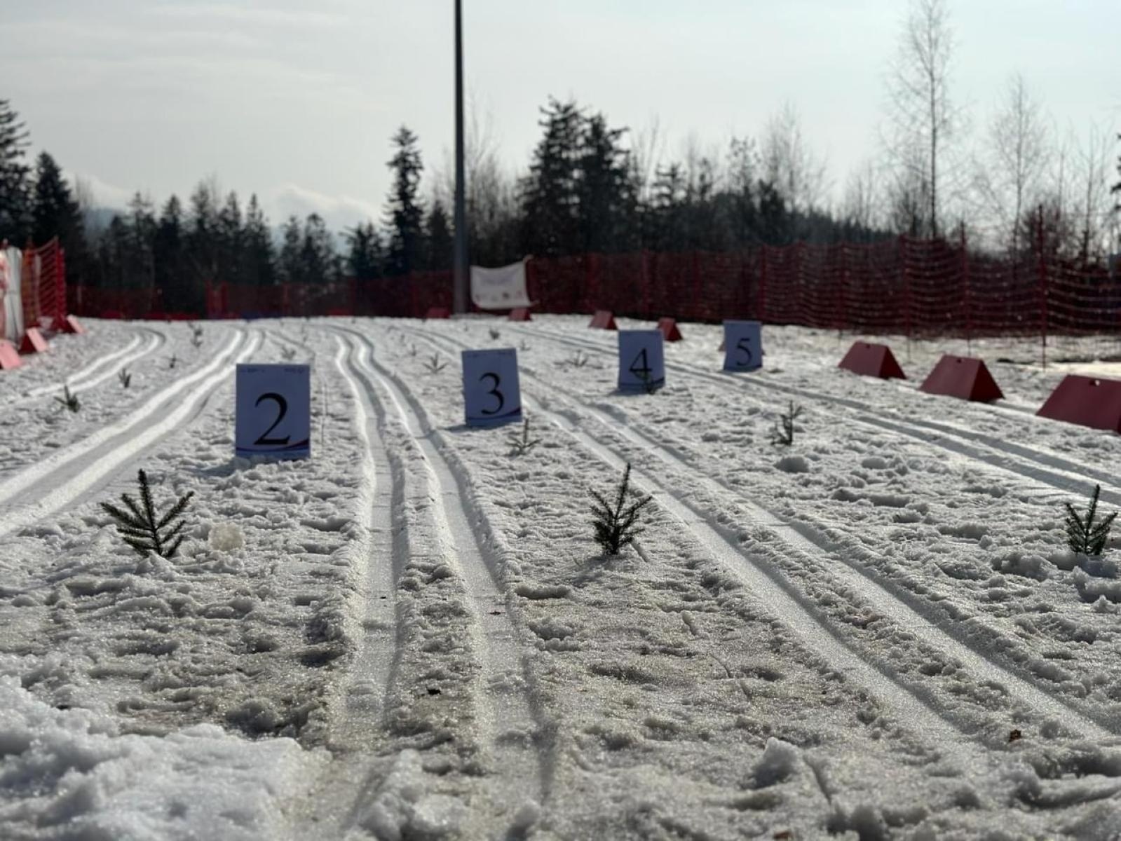 Zdjęcie w galerii na portalu naszraciborz.pl: Raciborski Zespół Szkół Specjalnych po sezonie zimowym wiadomości z regionu