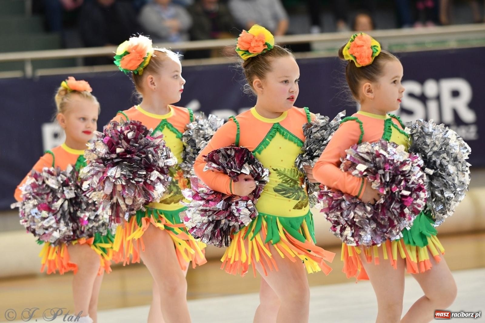Zdjęcie w galerii na portalu naszraciborz.pl: Racibórz gości Mistrzostwa Okręgu Mażoretek Polski Południowo-Zachodniej [FOTO] wiadomości z regionu