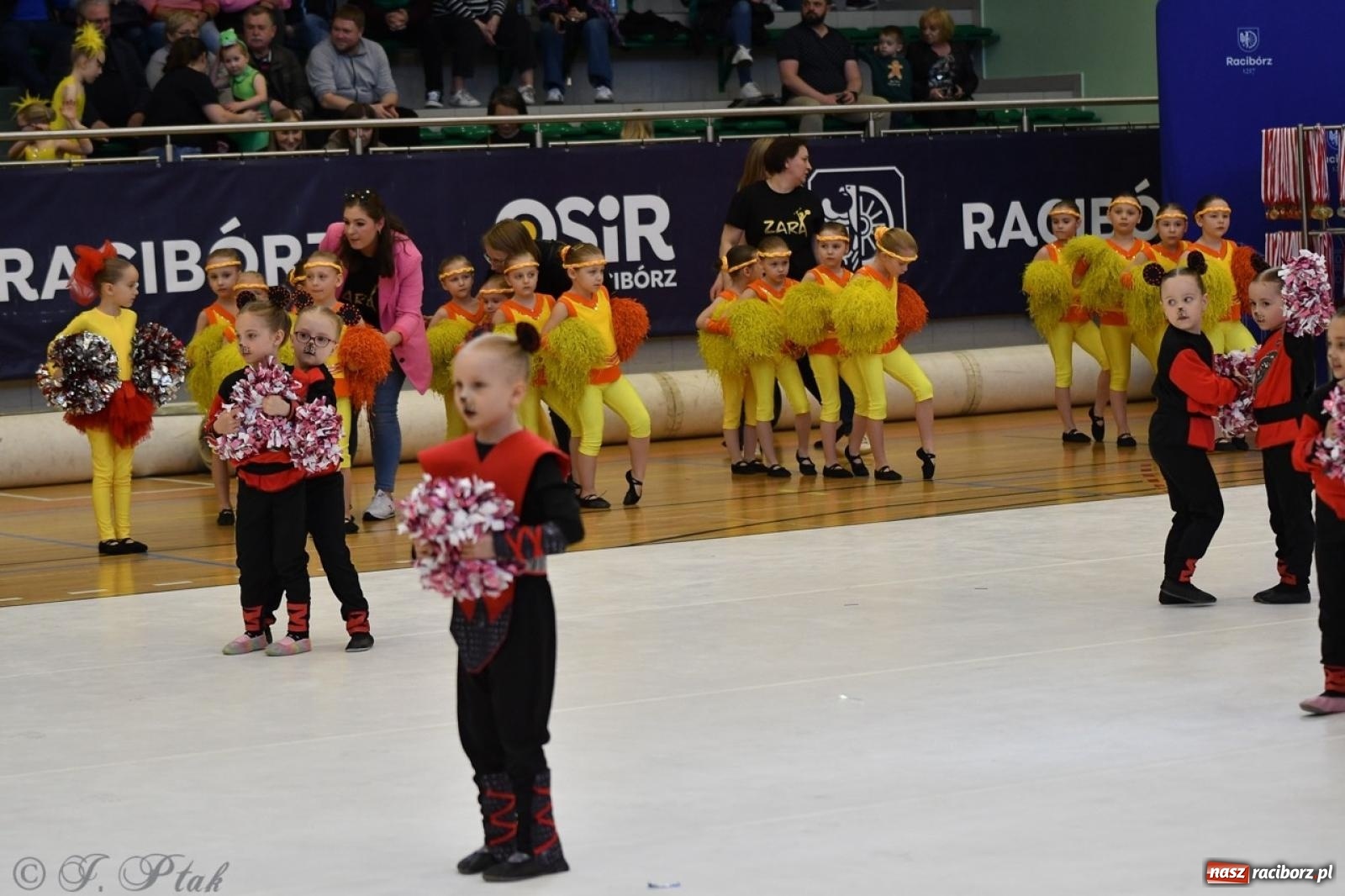 Zdjęcie w galerii na portalu naszraciborz.pl: Racibórz gości Mistrzostwa Okręgu Mażoretek Polski Południowo-Zachodniej [FOTO] wiadomości z regionu