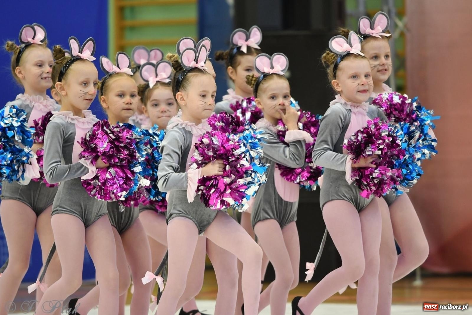 Zdjęcie w galerii na portalu naszraciborz.pl: Racibórz gości Mistrzostwa Okręgu Mażoretek Polski Południowo-Zachodniej [FOTO] wiadomości z regionu