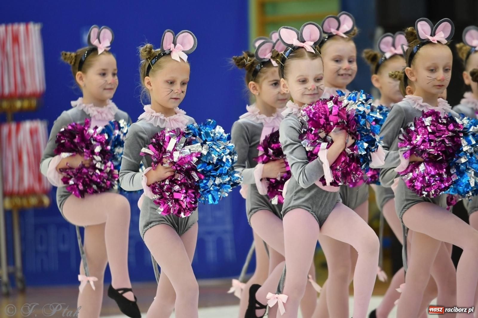 Zdjęcie w galerii na portalu naszraciborz.pl: Racibórz gości Mistrzostwa Okręgu Mażoretek Polski Południowo-Zachodniej [FOTO] wiadomości z regionu
