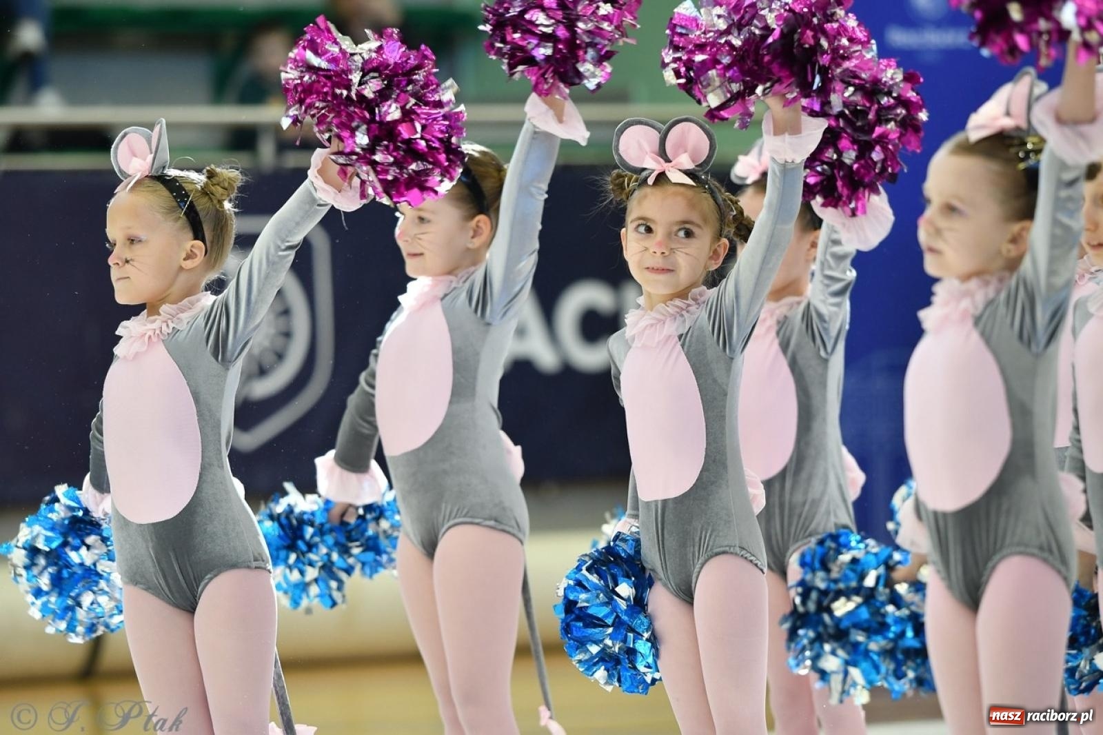 Zdjęcie w galerii na portalu naszraciborz.pl: Racibórz gości Mistrzostwa Okręgu Mażoretek Polski Południowo-Zachodniej [FOTO] wiadomości z regionu