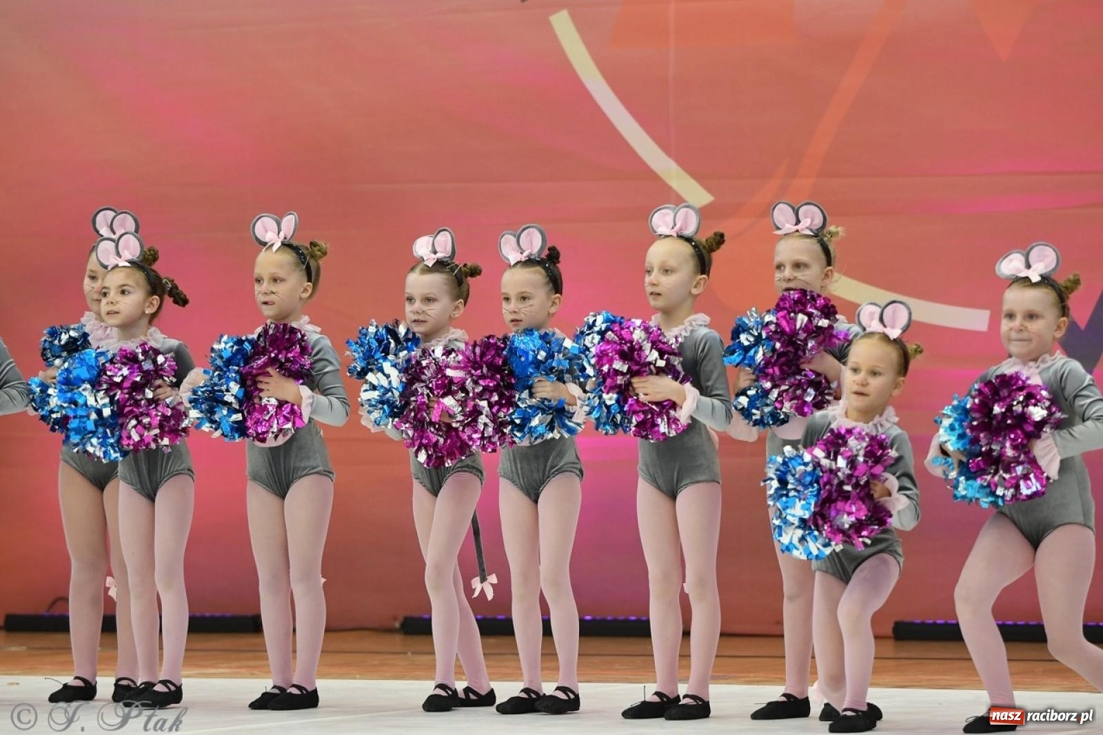 Zdjęcie w galerii na portalu naszraciborz.pl: Racibórz gości Mistrzostwa Okręgu Mażoretek Polski Południowo-Zachodniej [FOTO] wiadomości z regionu