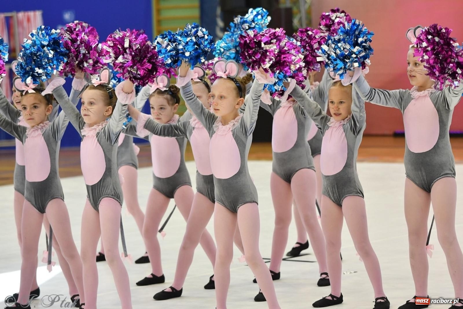 Zdjęcie w galerii na portalu naszraciborz.pl: Racibórz gości Mistrzostwa Okręgu Mażoretek Polski Południowo-Zachodniej [FOTO] wiadomości z regionu
