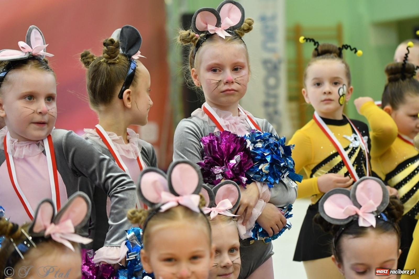 Zdjęcie w galerii na portalu naszraciborz.pl: Racibórz gości Mistrzostwa Okręgu Mażoretek Polski Południowo-Zachodniej [FOTO] wiadomości z regionu