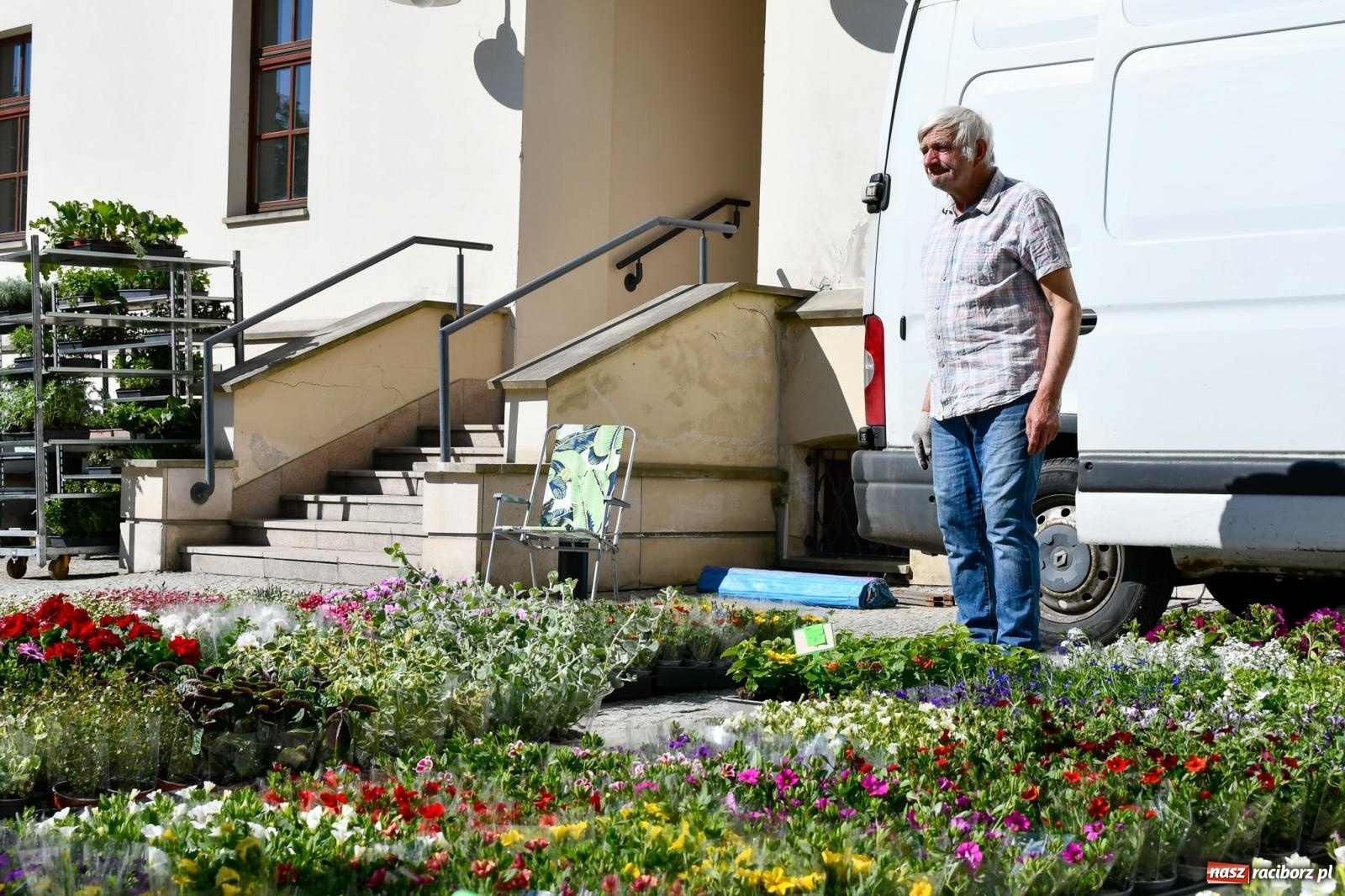 Zdjęcie w galerii na portalu naszraciborz.pl: Zamkowy dziedziniec pełen kwiatów [FOTO i WIDEO] wiadomości z regionu