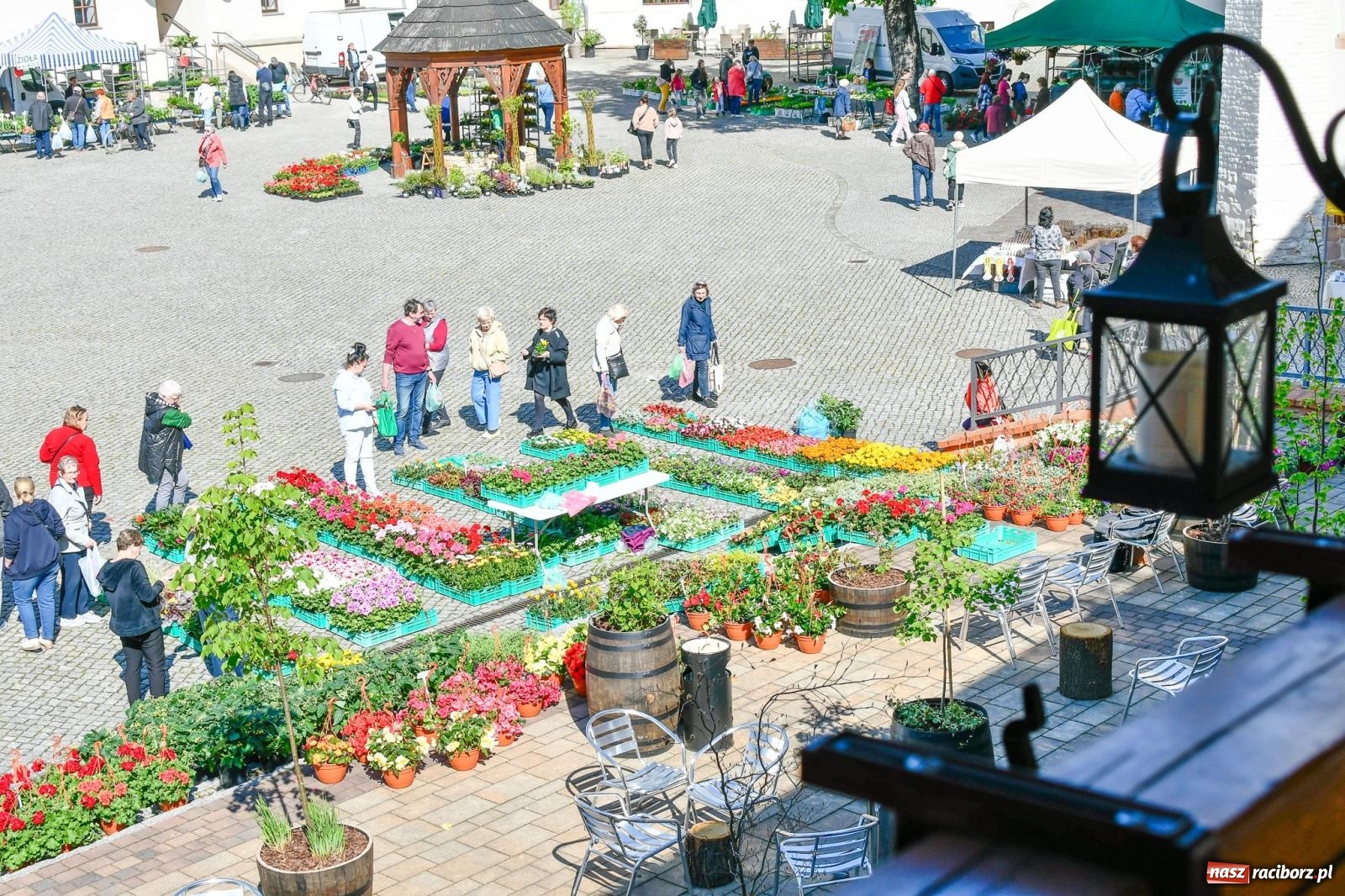 Zdjęcie w galerii na portalu naszraciborz.pl: Zamkowy dziedziniec pełen kwiatów [FOTO i WIDEO] wiadomości z regionu