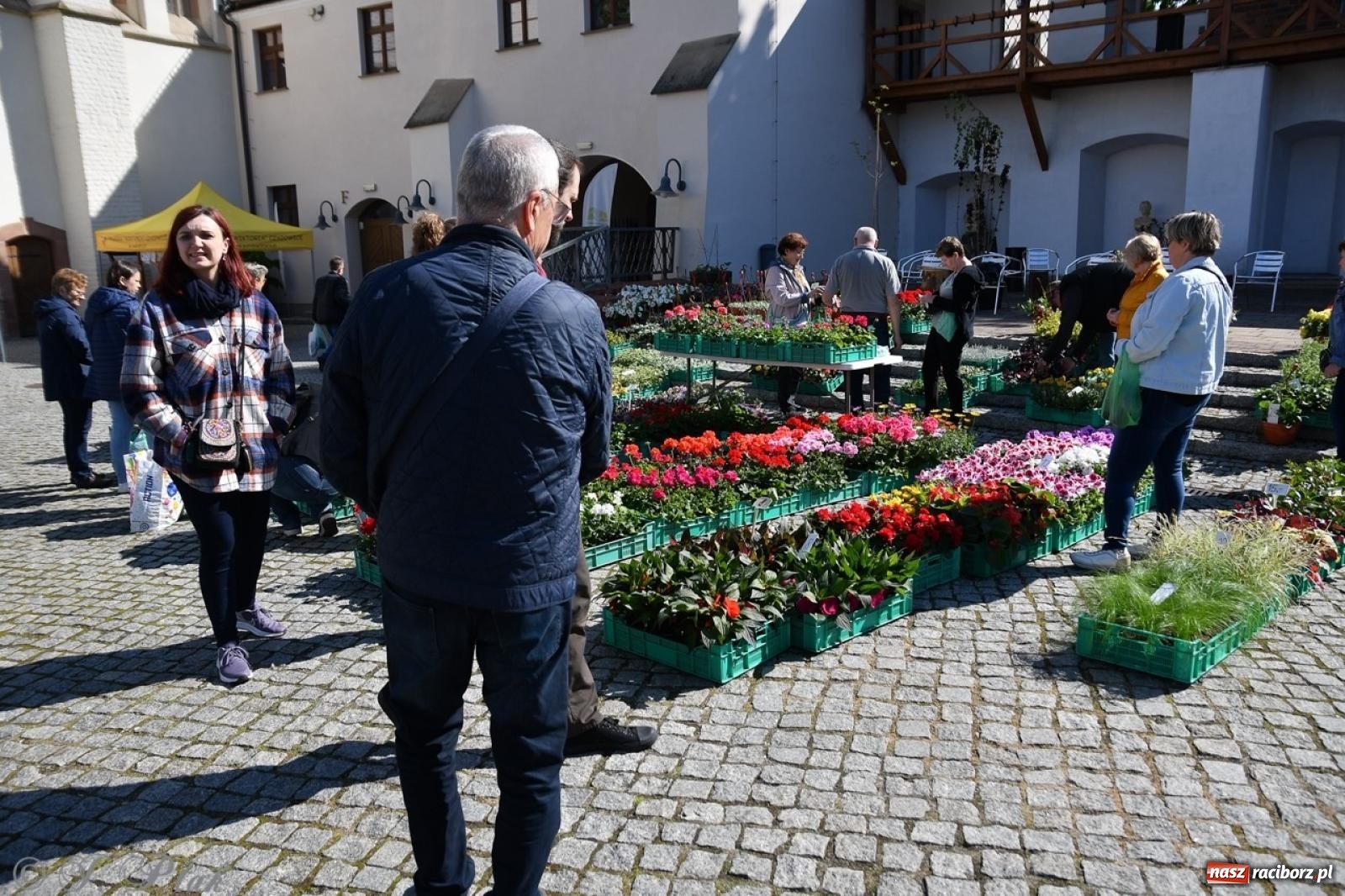Zdjęcie w galerii na portalu naszraciborz.pl: Zamkowy dziedziniec pełen kwiatów [FOTO i WIDEO] wiadomości z regionu