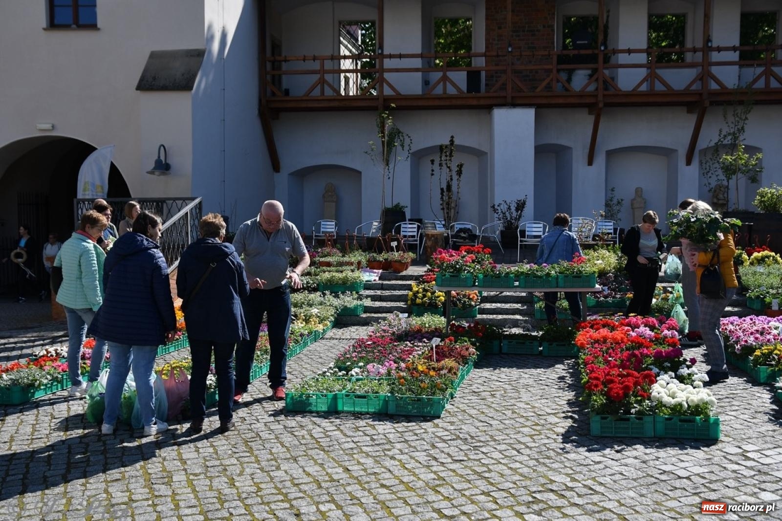 Zdjęcie w galerii na portalu naszraciborz.pl: Zamkowy dziedziniec pełen kwiatów [FOTO i WIDEO] wiadomości z regionu