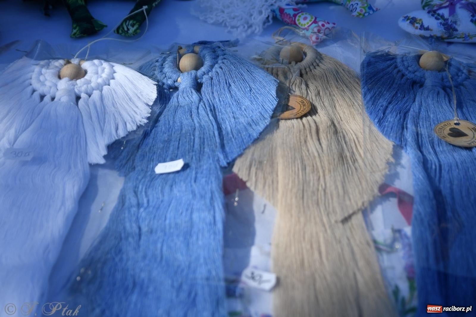 Zdjęcie w galerii na portalu naszraciborz.pl: Zamkowy dziedziniec pełen kwiatów [FOTO i WIDEO] wiadomości z regionu