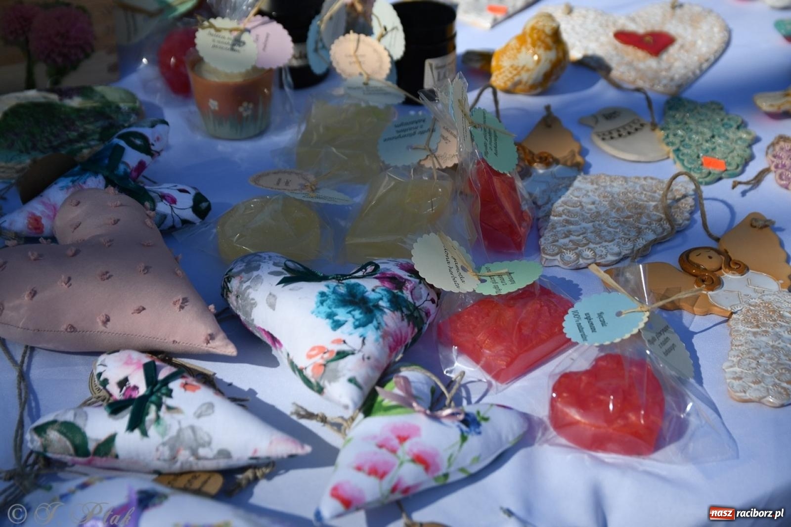 Zdjęcie w galerii na portalu naszraciborz.pl: Zamkowy dziedziniec pełen kwiatów [FOTO i WIDEO] wiadomości z regionu