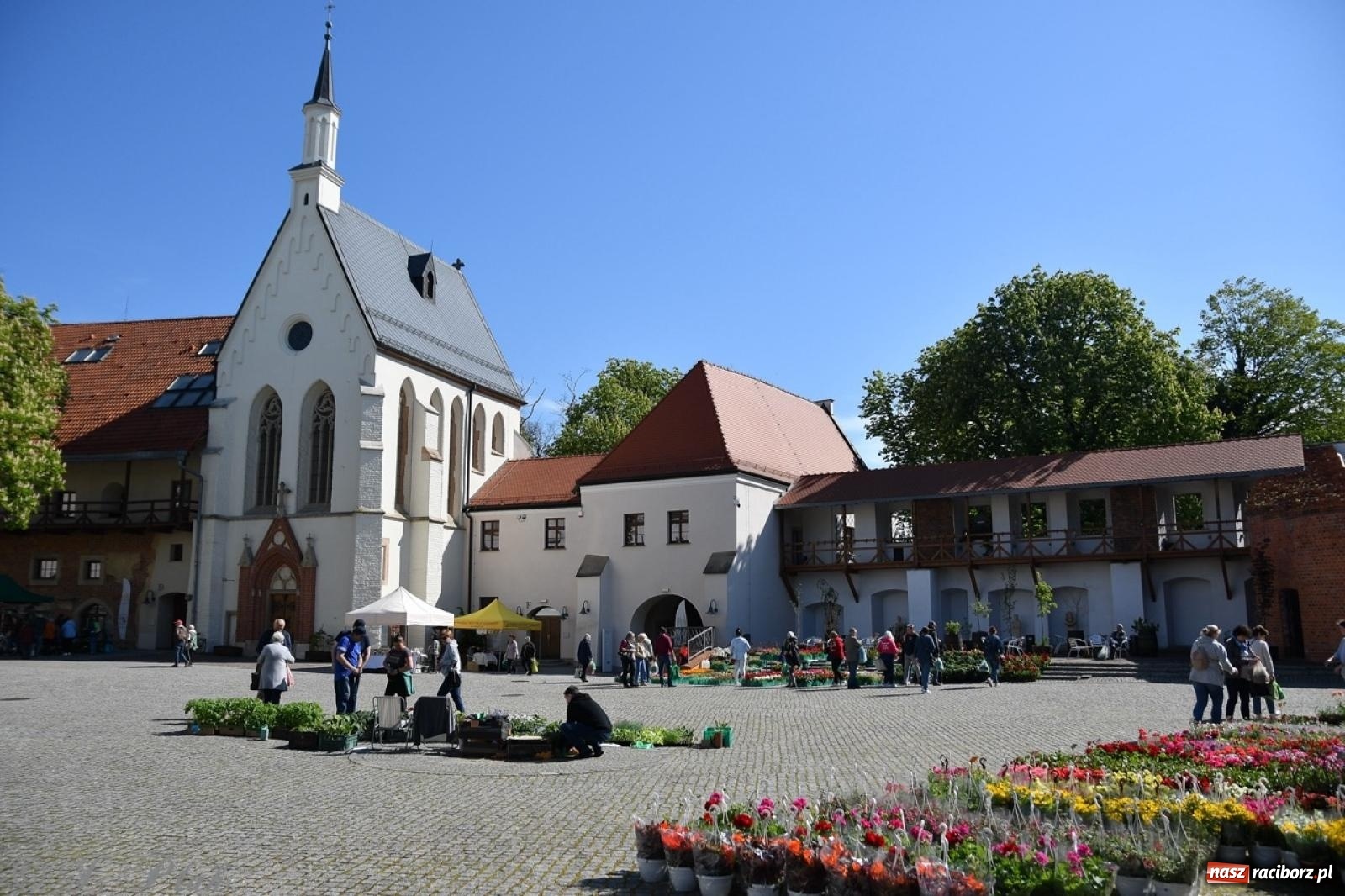 Zdjęcie w galerii na portalu naszraciborz.pl: Zamkowy dziedziniec pełen kwiatów [FOTO i WIDEO] wiadomości z regionu