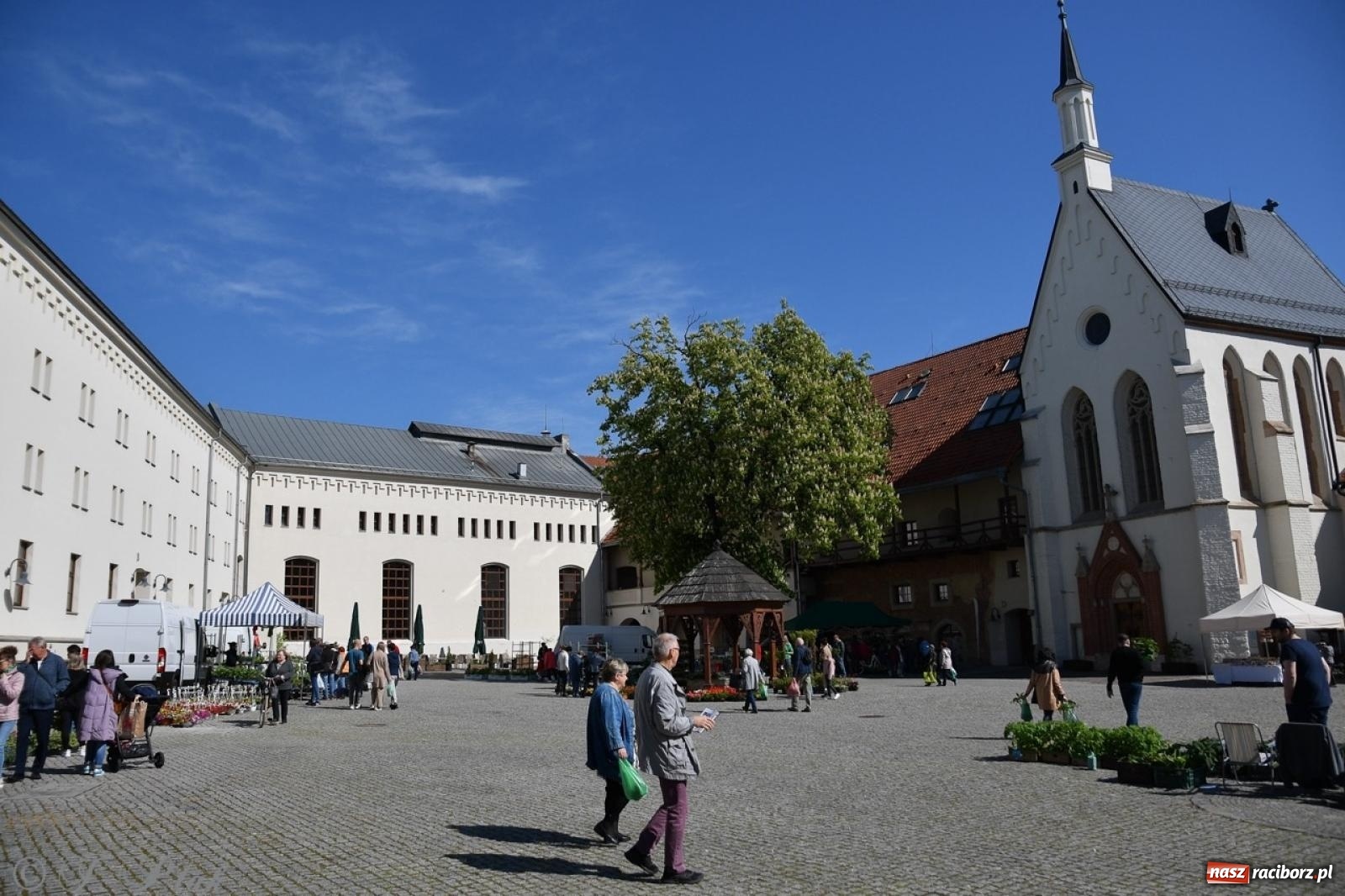 Zdjęcie w galerii na portalu naszraciborz.pl: Zamkowy dziedziniec pełen kwiatów [FOTO i WIDEO] wiadomości z regionu