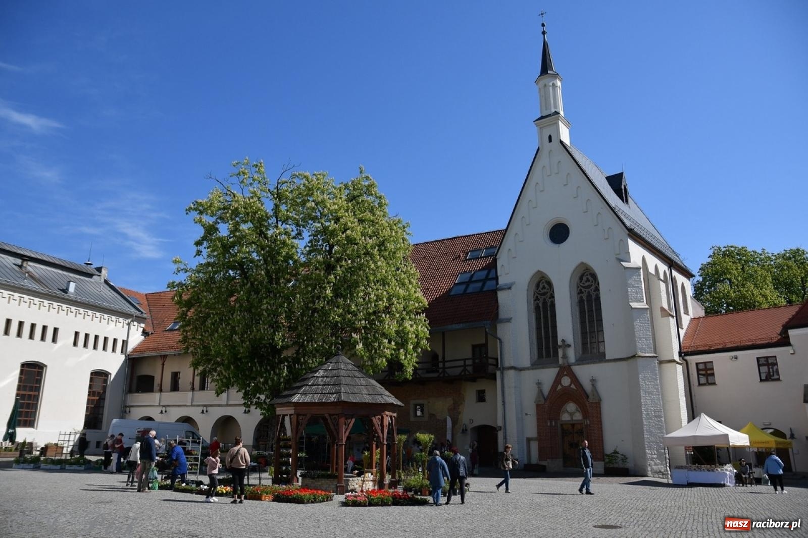 Zdjęcie w galerii na portalu naszraciborz.pl: Zamkowy dziedziniec pełen kwiatów [FOTO i WIDEO] wiadomości z regionu