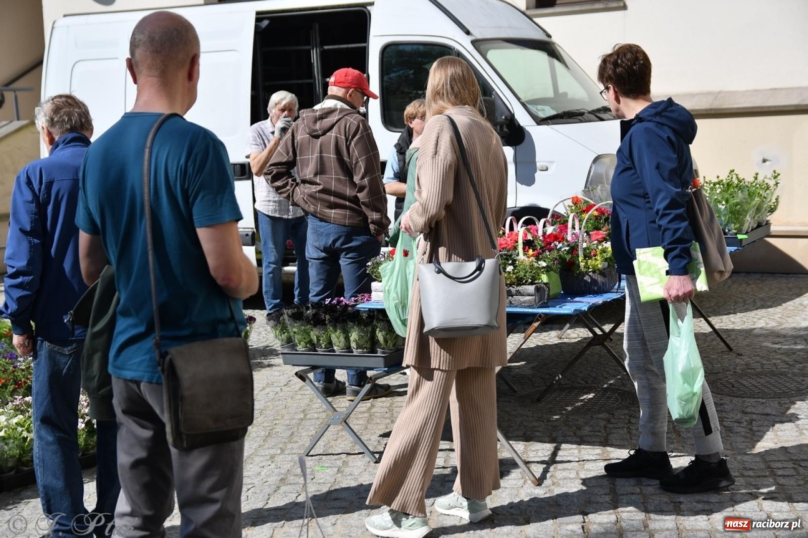 Zdjęcie w galerii na portalu naszraciborz.pl: Zamkowy dziedziniec pełen kwiatów [FOTO i WIDEO] wiadomości z regionu