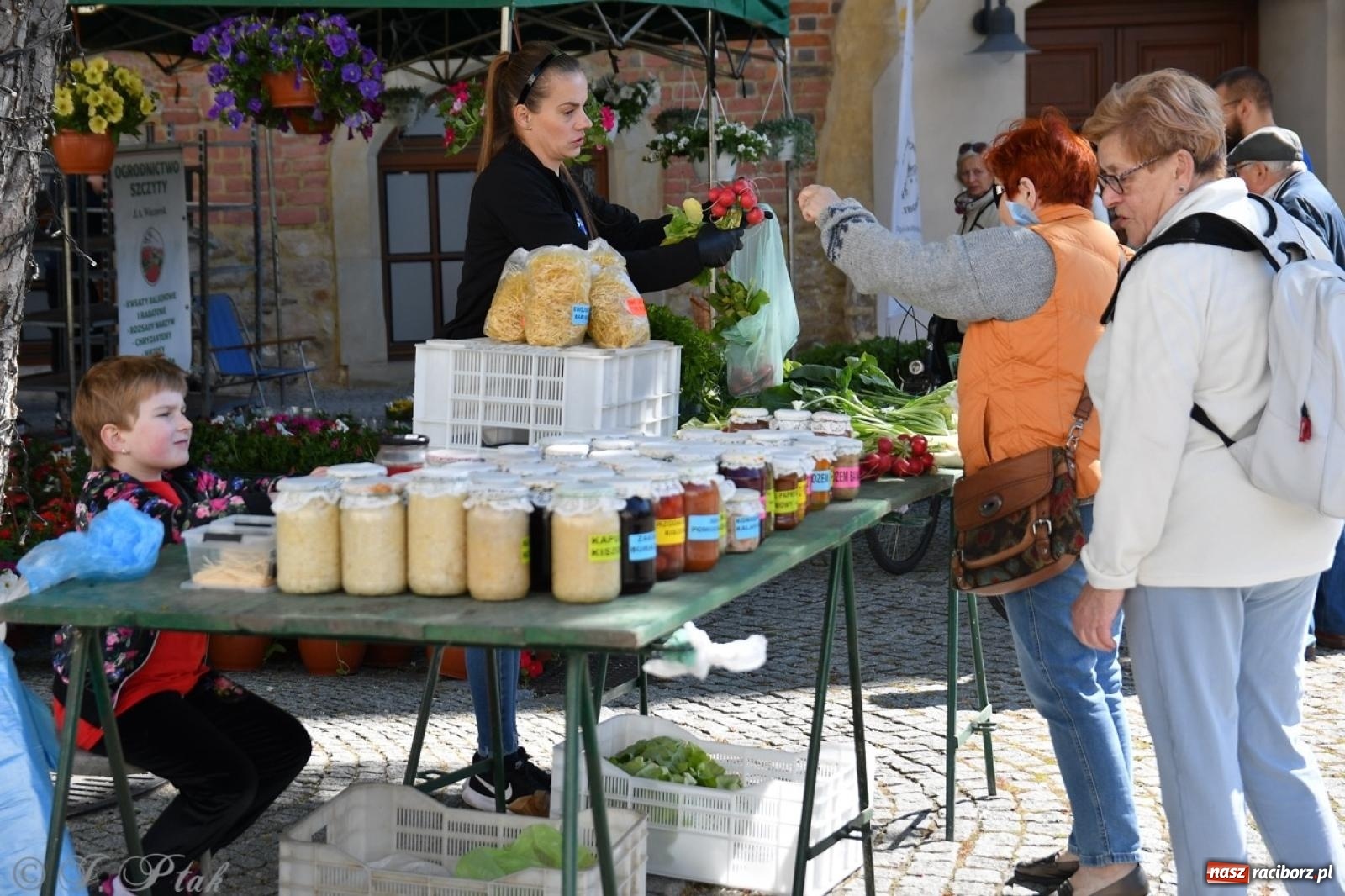 Zdjęcie w galerii na portalu naszraciborz.pl: Zamkowy dziedziniec pełen kwiatów [FOTO i WIDEO] wiadomości z regionu