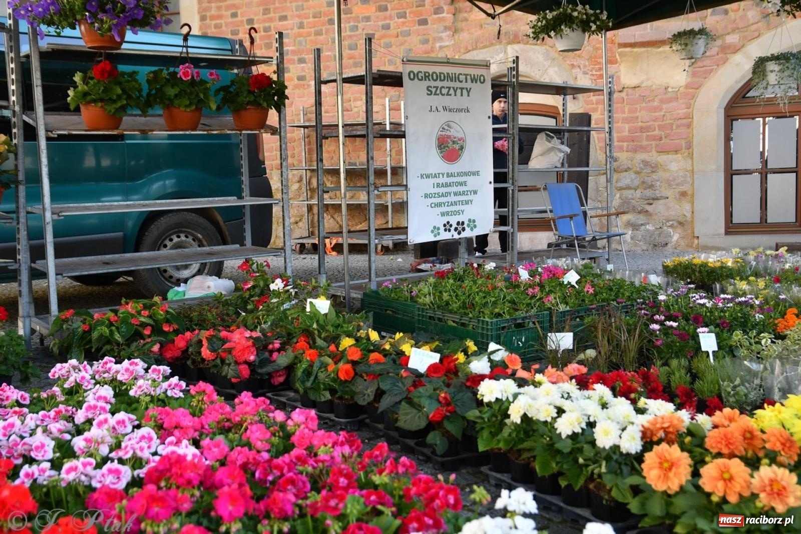 Zdjęcie w galerii na portalu naszraciborz.pl: Zamkowy dziedziniec pełen kwiatów [FOTO i WIDEO] wiadomości z regionu