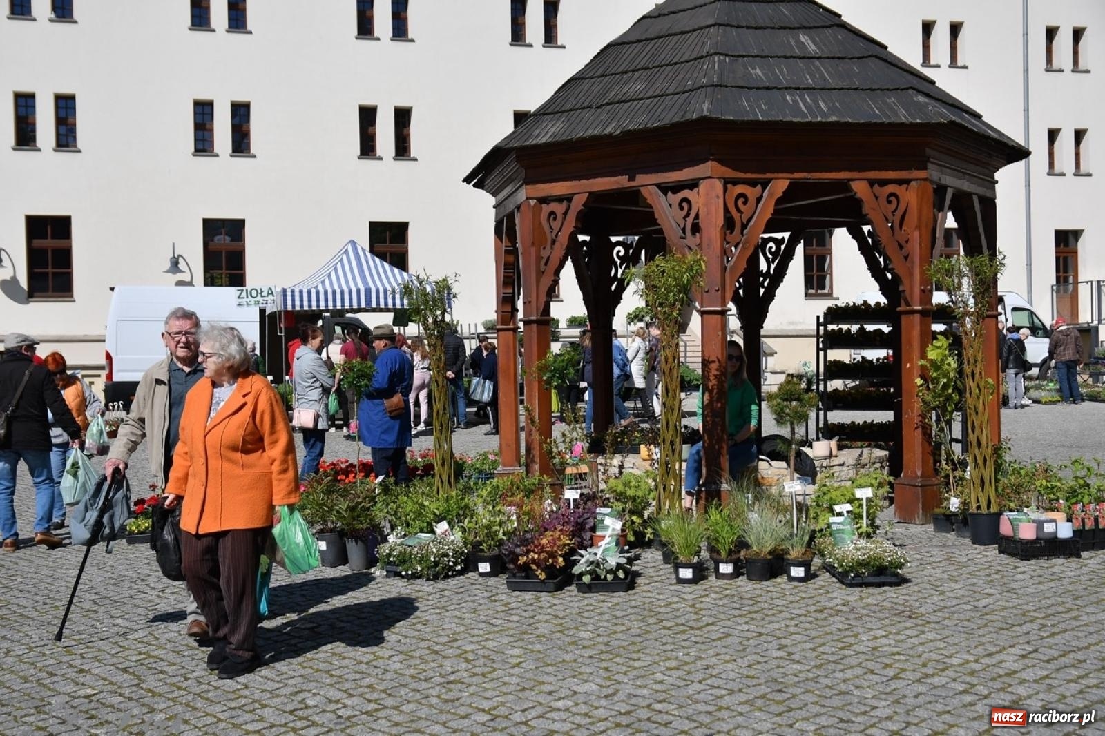 Zdjęcie w galerii na portalu naszraciborz.pl: Zamkowy dziedziniec pełen kwiatów [FOTO i WIDEO] wiadomości z regionu