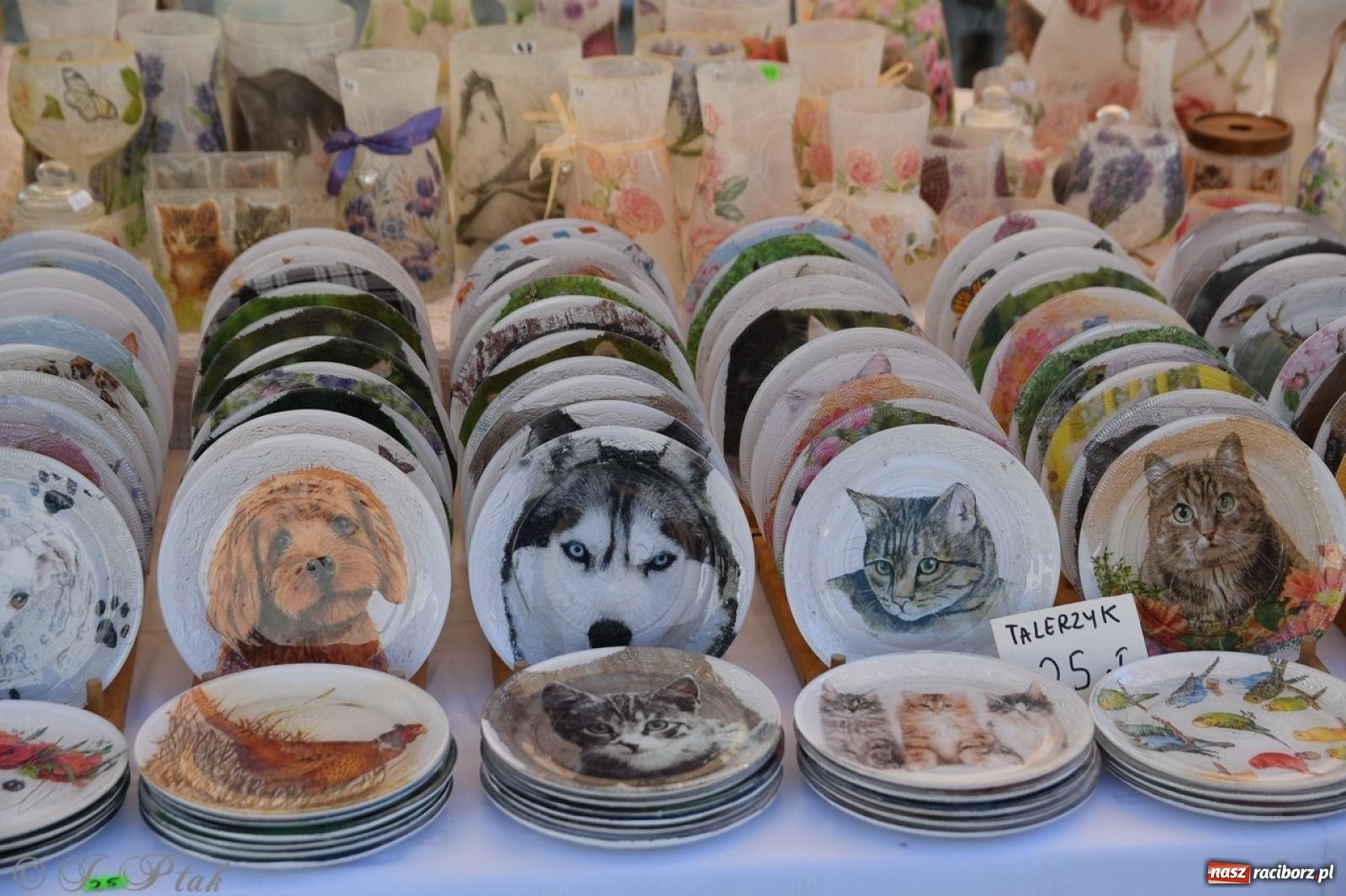 Zdjęcie w galerii na portalu naszraciborz.pl: Zamkowy dziedziniec pełen kwiatów [FOTO i WIDEO] wiadomości z regionu