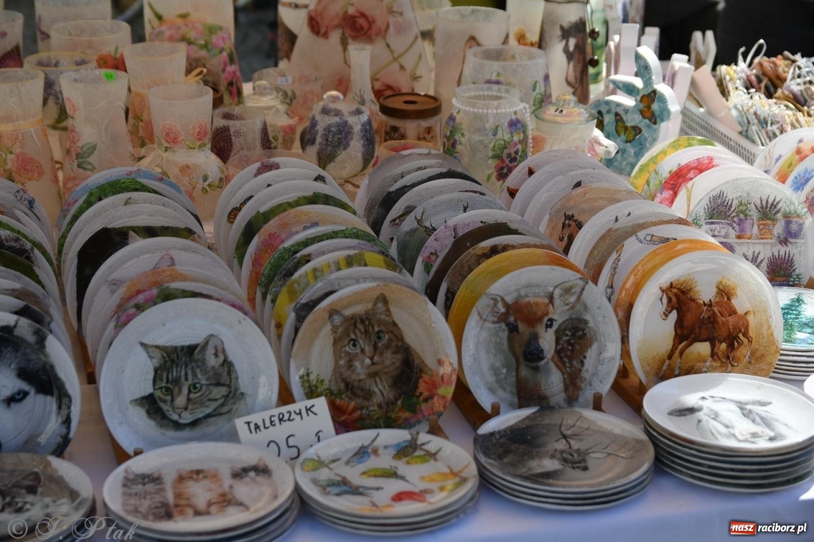 Zdjęcie w galerii na portalu naszraciborz.pl: Zamkowy dziedziniec pełen kwiatów [FOTO i WIDEO] wiadomości z regionu