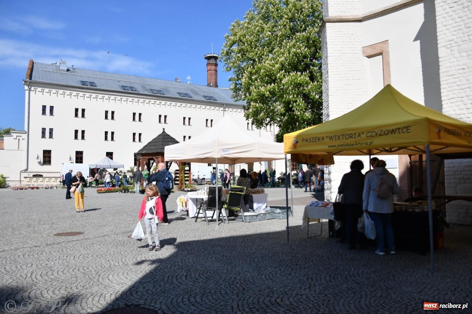 Zdjęcie w galerii na portalu naszraciborz.pl: Zamkowy dziedziniec pełen kwiatów [FOTO i WIDEO] wiadomości z regionu