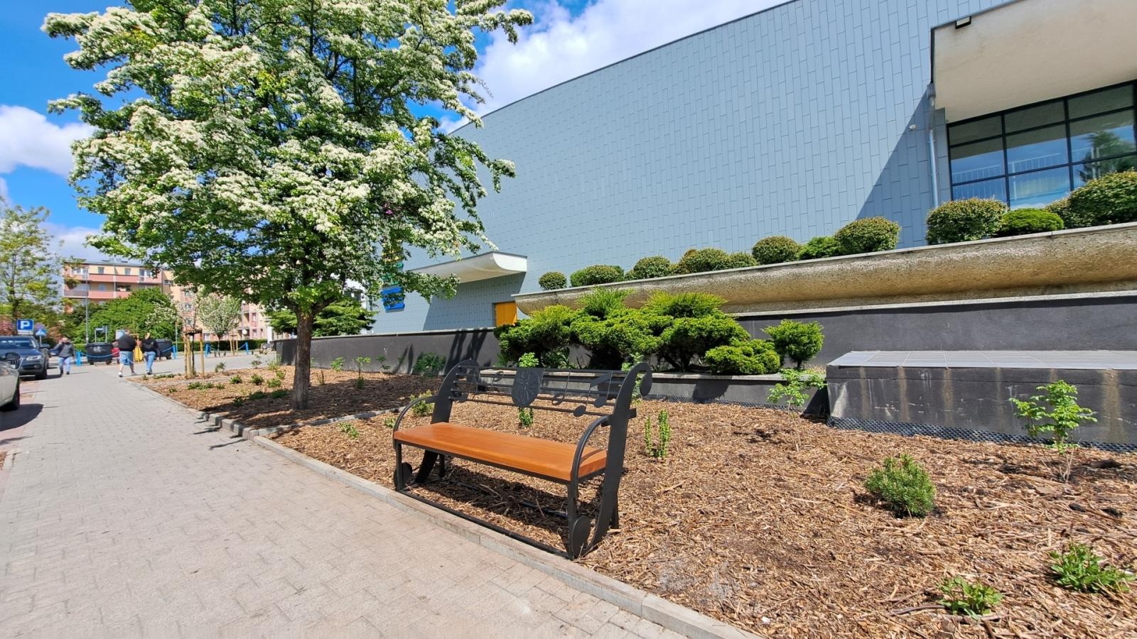 Zdjęcie w galerii na portalu naszraciborz.pl: Ul. Ogrodowa i K. Miarki już wkrótce zakwitną wiadomości z regionu