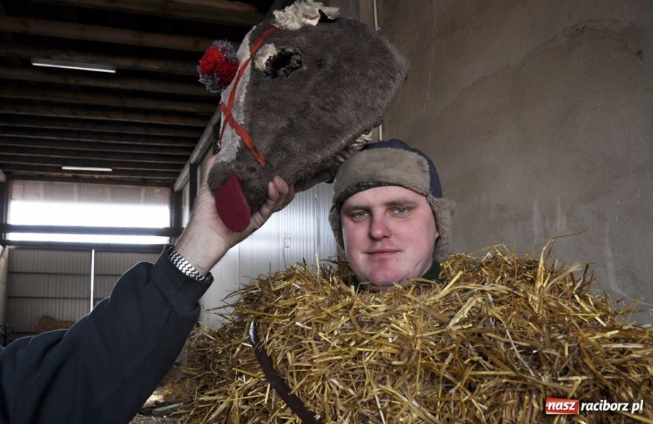Zdjęcie w galerii na portalu naszraciborz.pl: Małpa musi każdego wysmarować wiadomości z regionu