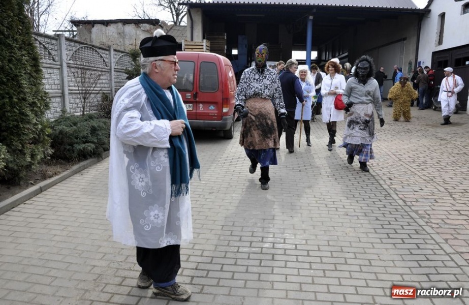Zdjęcie w galerii na portalu naszraciborz.pl: Małpa musi każdego wysmarować wiadomości z regionu