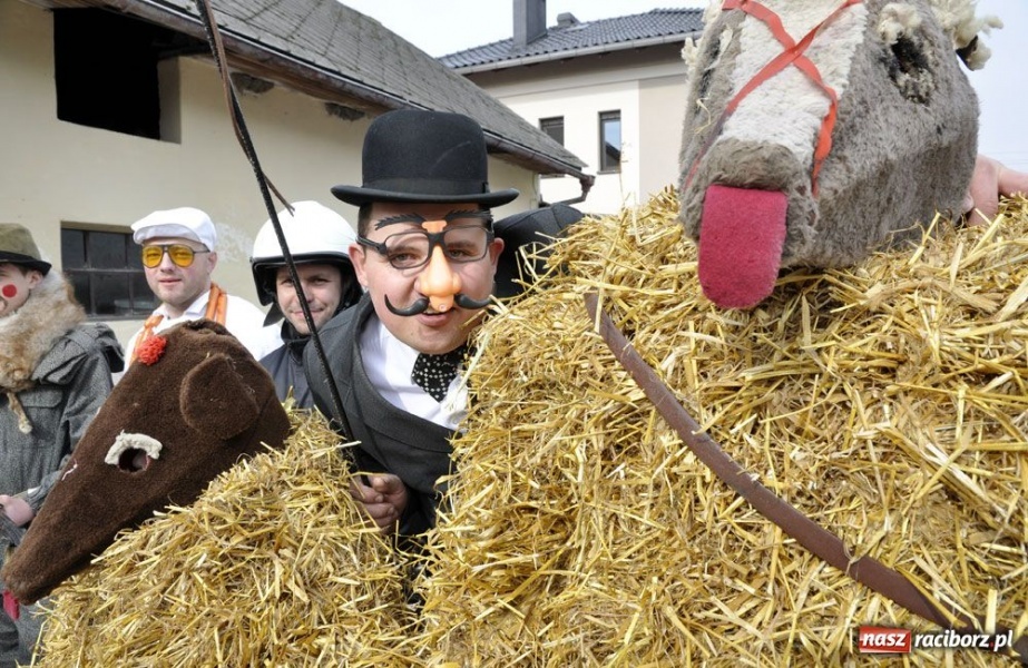 Zdjęcie w galerii na portalu naszraciborz.pl: Małpa musi każdego wysmarować wiadomości z regionu