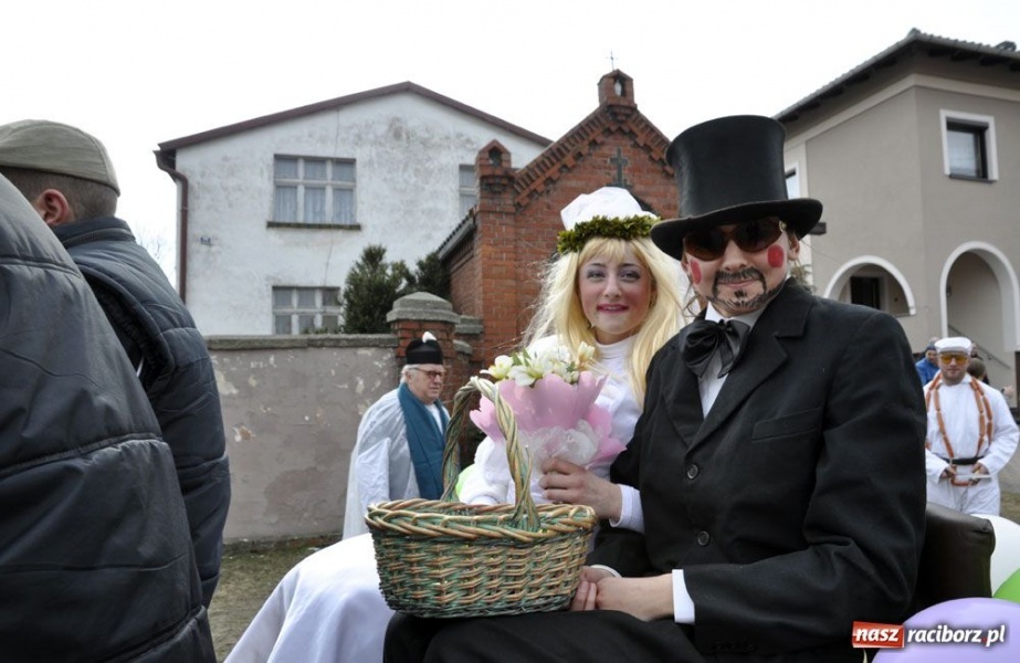 Zdjęcie w galerii na portalu naszraciborz.pl: Małpa musi każdego wysmarować wiadomości z regionu