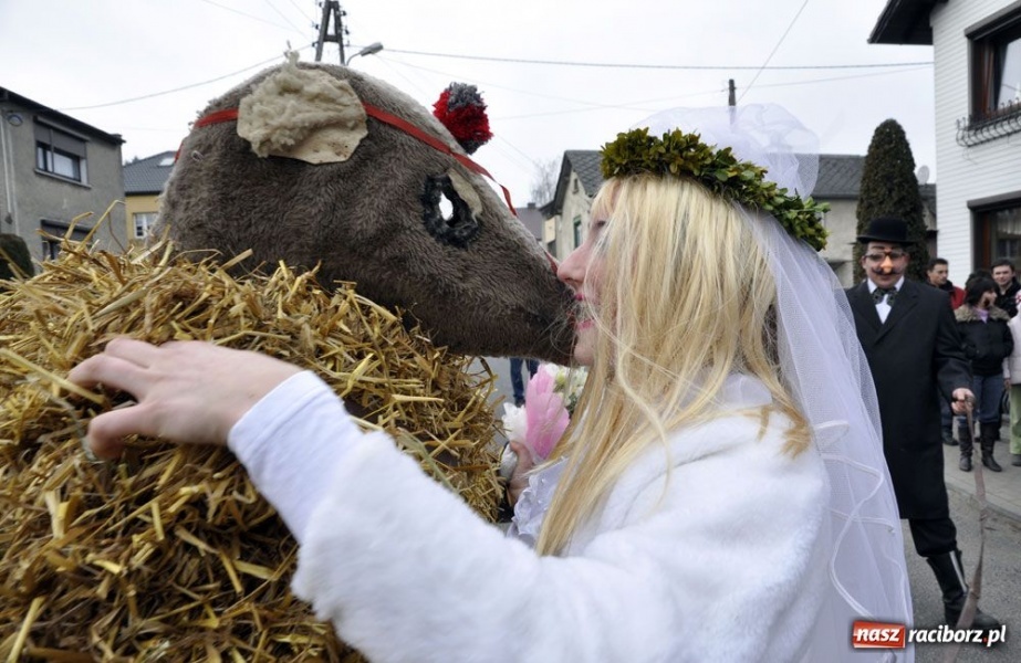 Zdjęcie w galerii na portalu naszraciborz.pl: Małpa musi każdego wysmarować wiadomości z regionu