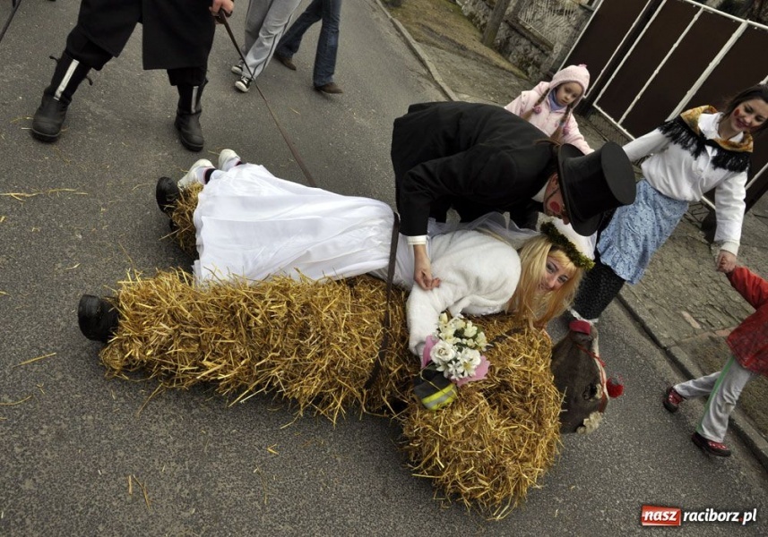 Zdjęcie w galerii na portalu naszraciborz.pl: Małpa musi każdego wysmarować wiadomości z regionu