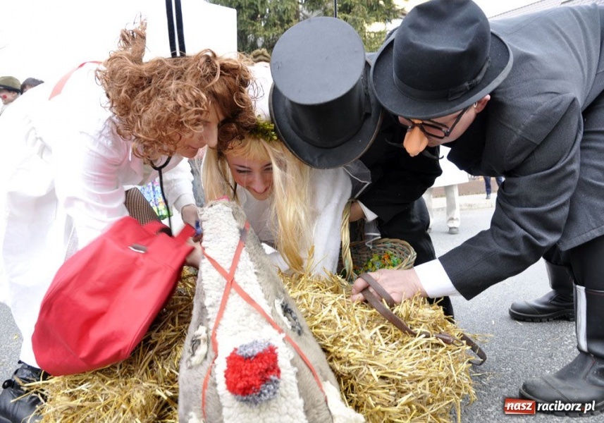 Zdjęcie w galerii na portalu naszraciborz.pl: Małpa musi każdego wysmarować wiadomości z regionu