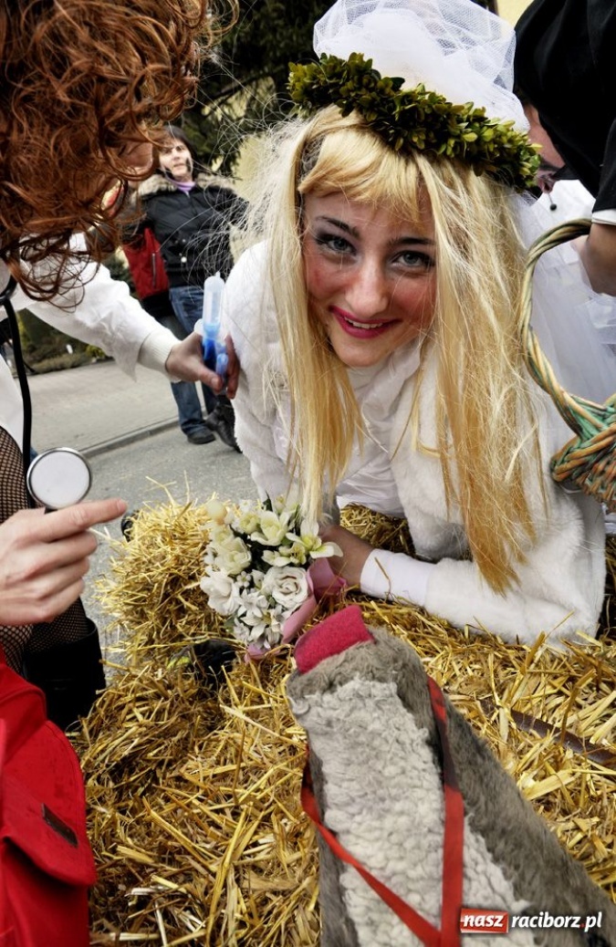 Zdjęcie w galerii na portalu naszraciborz.pl: Małpa musi każdego wysmarować wiadomości z regionu