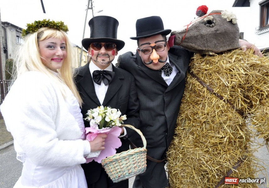 Zdjęcie w galerii na portalu naszraciborz.pl: Małpa musi każdego wysmarować wiadomości z regionu