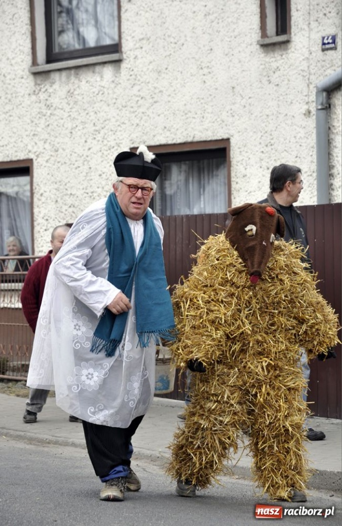 Zdjęcie w galerii na portalu naszraciborz.pl: Małpa musi każdego wysmarować wiadomości z regionu