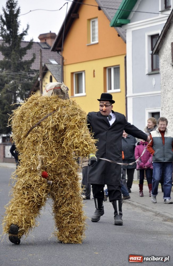 Zdjęcie w galerii na portalu naszraciborz.pl: Małpa musi każdego wysmarować wiadomości z regionu