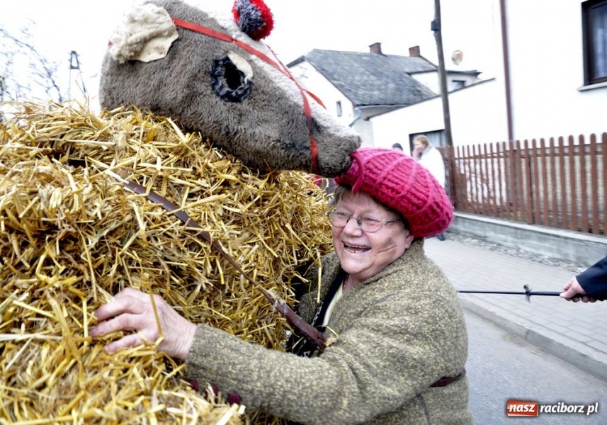 Zdjęcie w galerii na portalu naszraciborz.pl: Małpa musi każdego wysmarować wiadomości z regionu