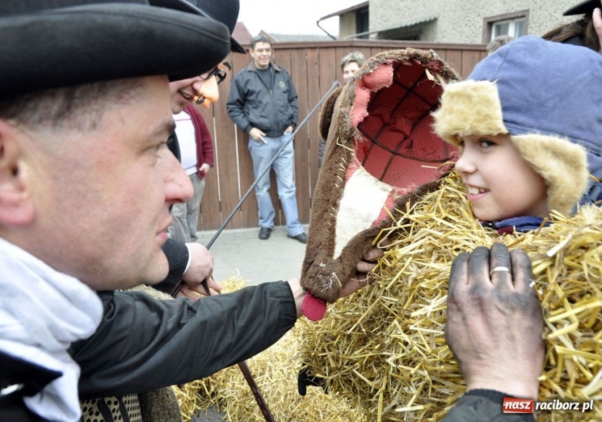 Zdjęcie w galerii na portalu naszraciborz.pl: Małpa musi każdego wysmarować wiadomości z regionu