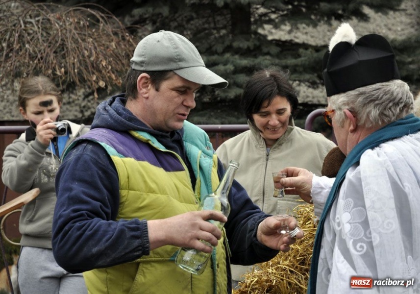Zdjęcie w galerii na portalu naszraciborz.pl: Małpa musi każdego wysmarować wiadomości z regionu