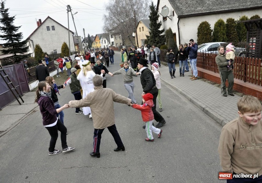 Zdjęcie w galerii na portalu naszraciborz.pl: Małpa musi każdego wysmarować wiadomości z regionu