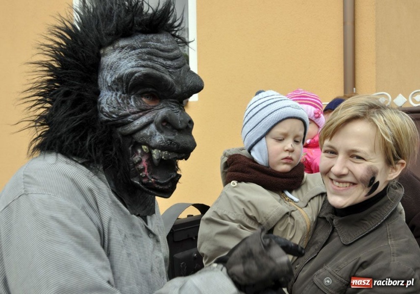 Zdjęcie w galerii na portalu naszraciborz.pl: Małpa musi każdego wysmarować wiadomości z regionu