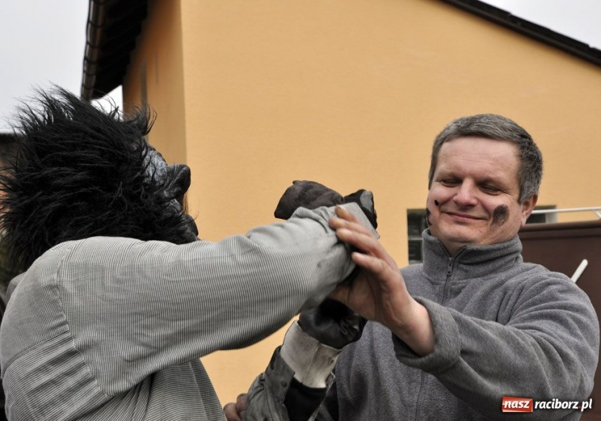 Zdjęcie w galerii na portalu naszraciborz.pl: Małpa musi każdego wysmarować wiadomości z regionu