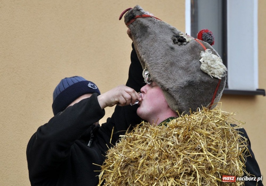 Zdjęcie w galerii na portalu naszraciborz.pl: Małpa musi każdego wysmarować wiadomości z regionu