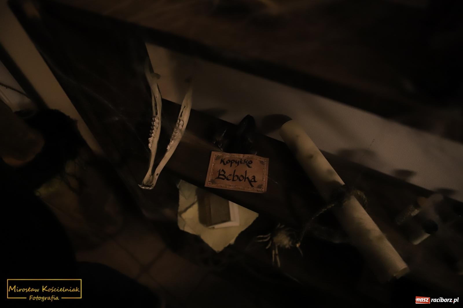 Zdjęcie w galerii na portalu naszraciborz.pl: Raciborzanie lubią zwiedzać zamek nocą [FOTO] wiadomości z regionu