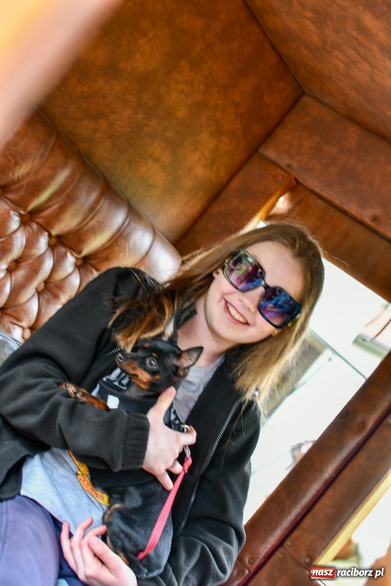 Zdjęcie w galerii na portalu naszraciborz.pl: Procesja konna w Łubowicach. Dopisała pogoda i jeźdźcy [FOTO i WIDEO] wiadomości z regionu