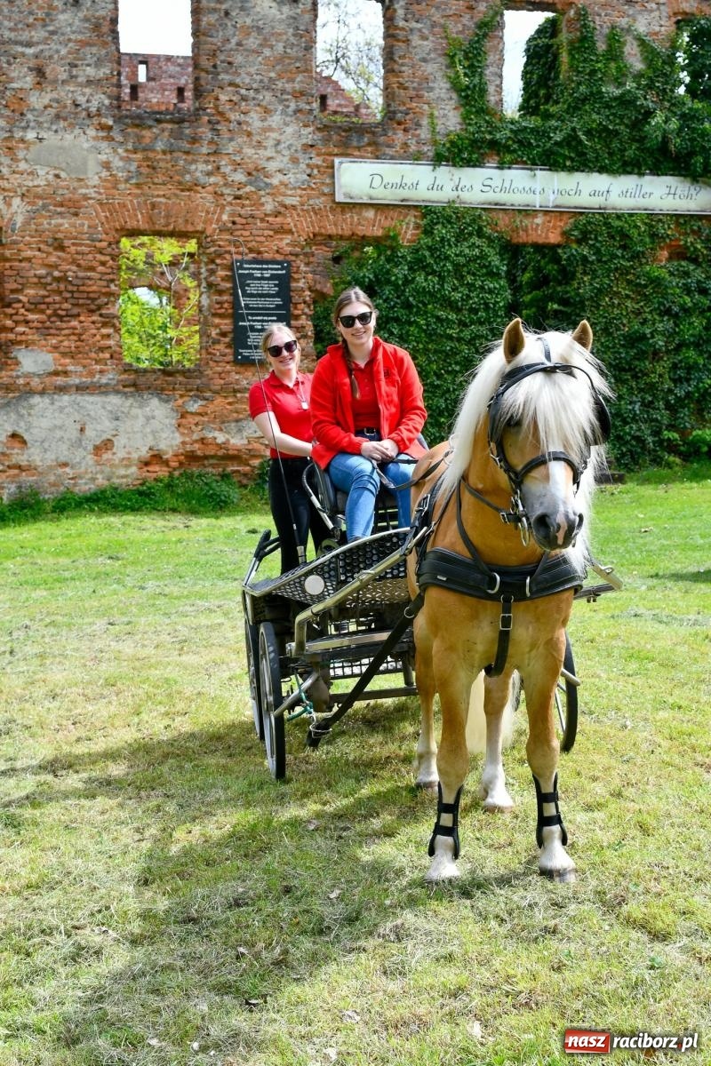 Zdjęcie w galerii na portalu naszraciborz.pl: Procesja konna w Łubowicach. Dopisała pogoda i jeźdźcy [FOTO i WIDEO] wiadomości z regionu