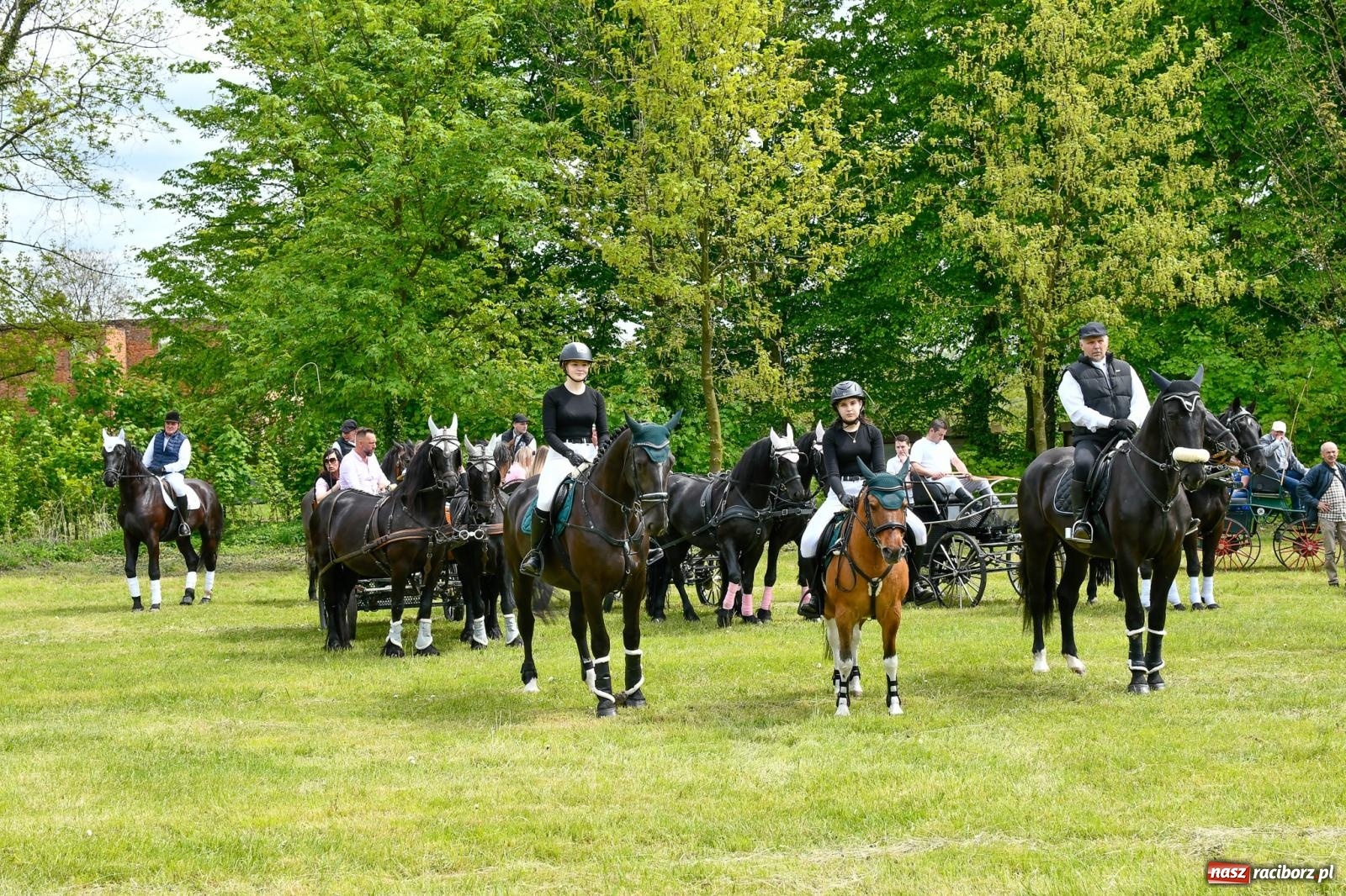 Zdjęcie w galerii na portalu naszraciborz.pl: Procesja konna w Łubowicach. Dopisała pogoda i jeźdźcy [FOTO i WIDEO] wiadomości z regionu